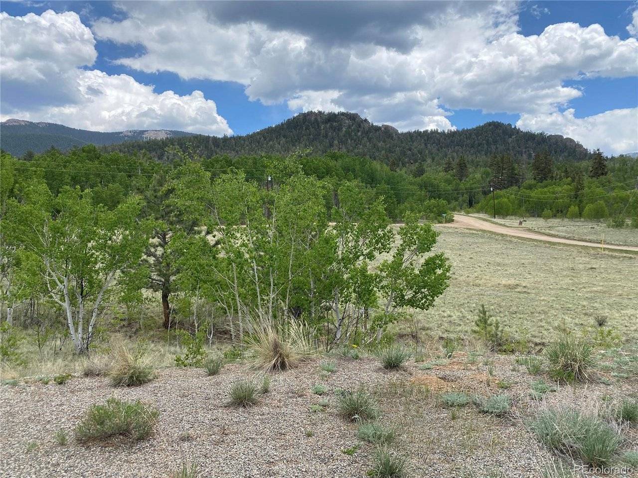 2071 Al Gulch, Jefferson, CO 80456