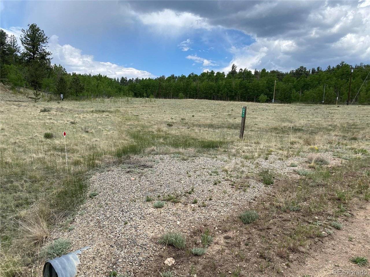 2071 Al Gulch, Jefferson, CO 80456