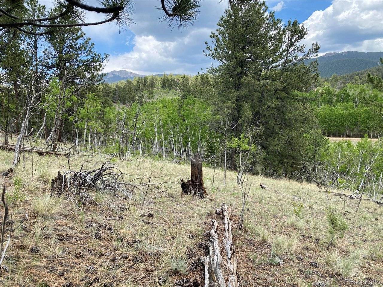2071 Al Gulch, Jefferson, CO 80456
