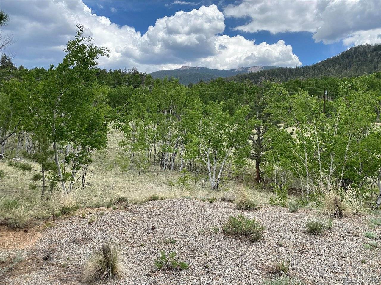 2071 Al Gulch, Jefferson, CO 80456