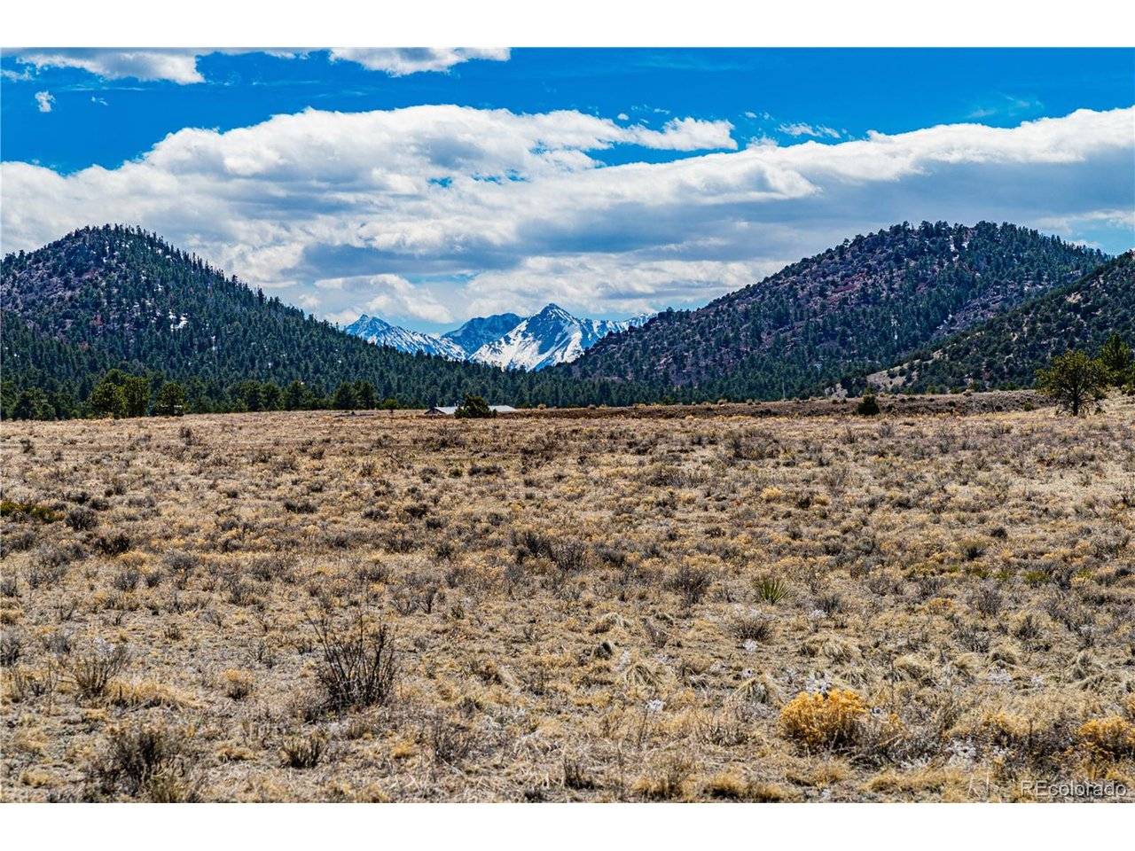 Marcey Road, Westcliffe, CO 81252