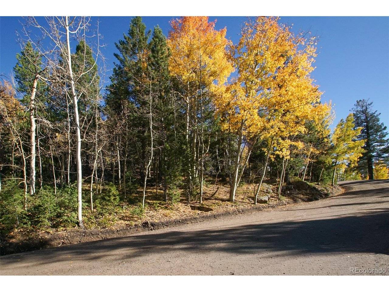 11637 Leavenworth, Conifer, CO 80433