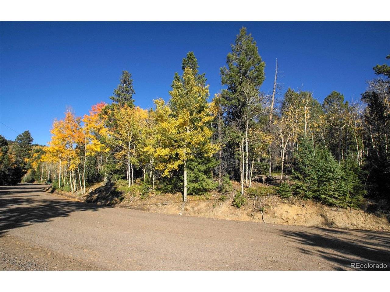11637 Leavenworth, Conifer, CO 80433