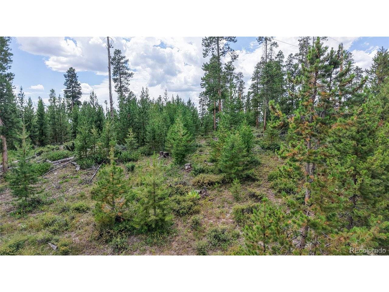 90 County Road 452, Grand Lake, CO 80447