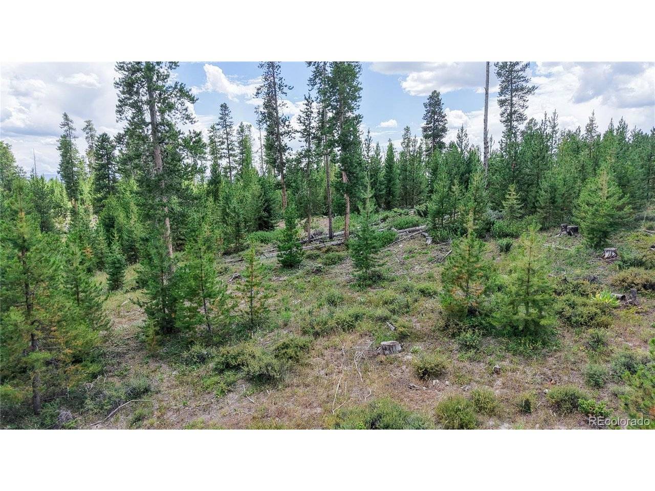 90 County Road 452, Grand Lake, CO 80447