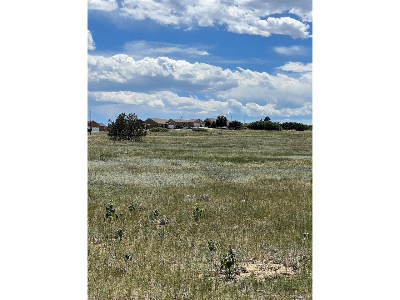 453 Las Animas, Colorado City, CO 81019