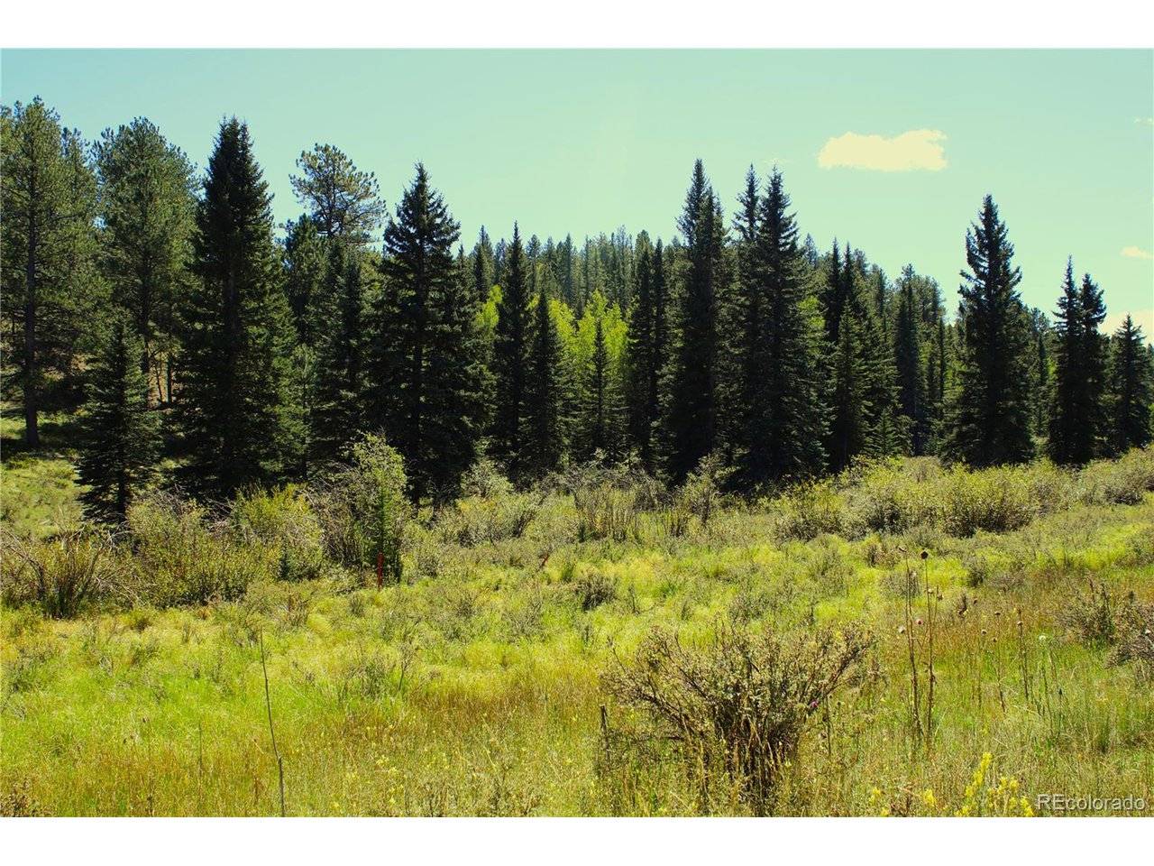 Address not disclosed, Divide, CO 80814