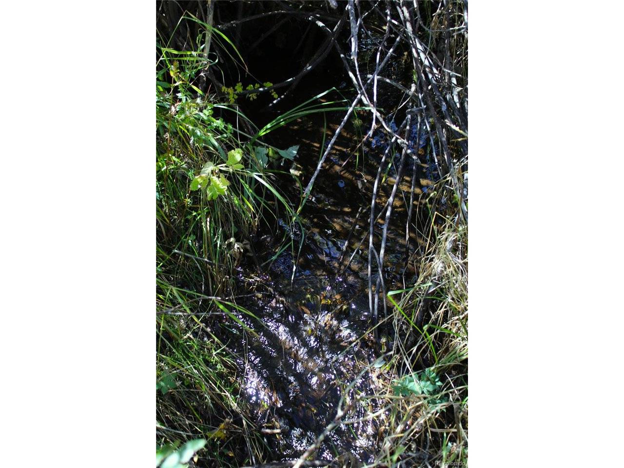 Address not disclosed, Divide, CO 80814