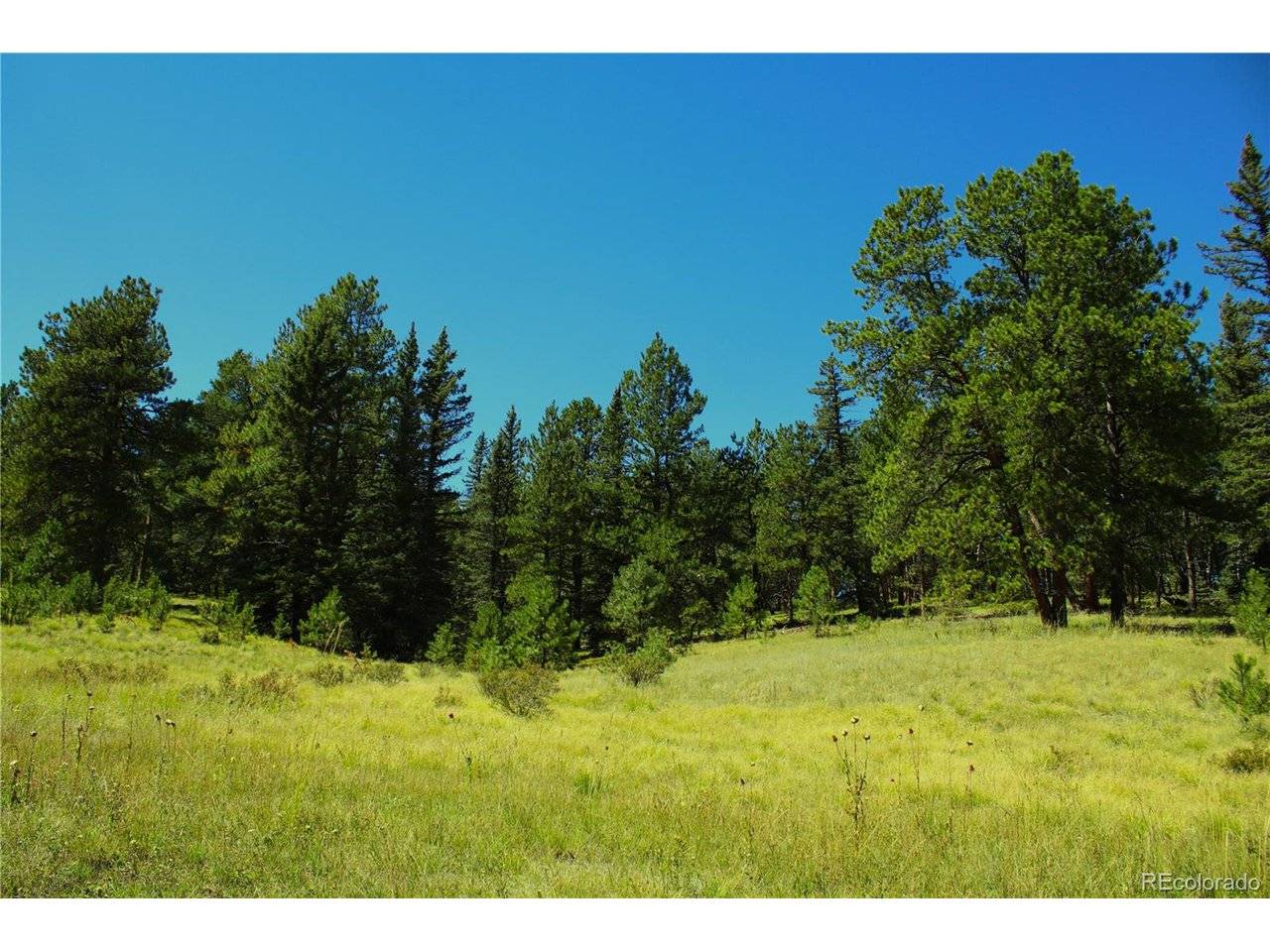 Address not disclosed, Divide, CO 80814