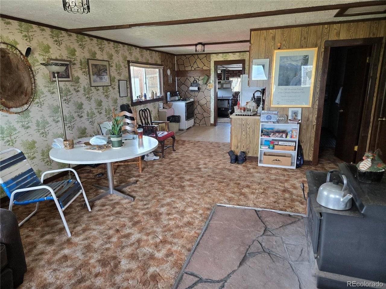 586 Cuesta, Cotopaxi, CO 81223