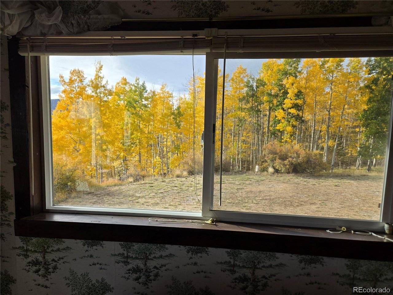586 Cuesta, Cotopaxi, CO 81223