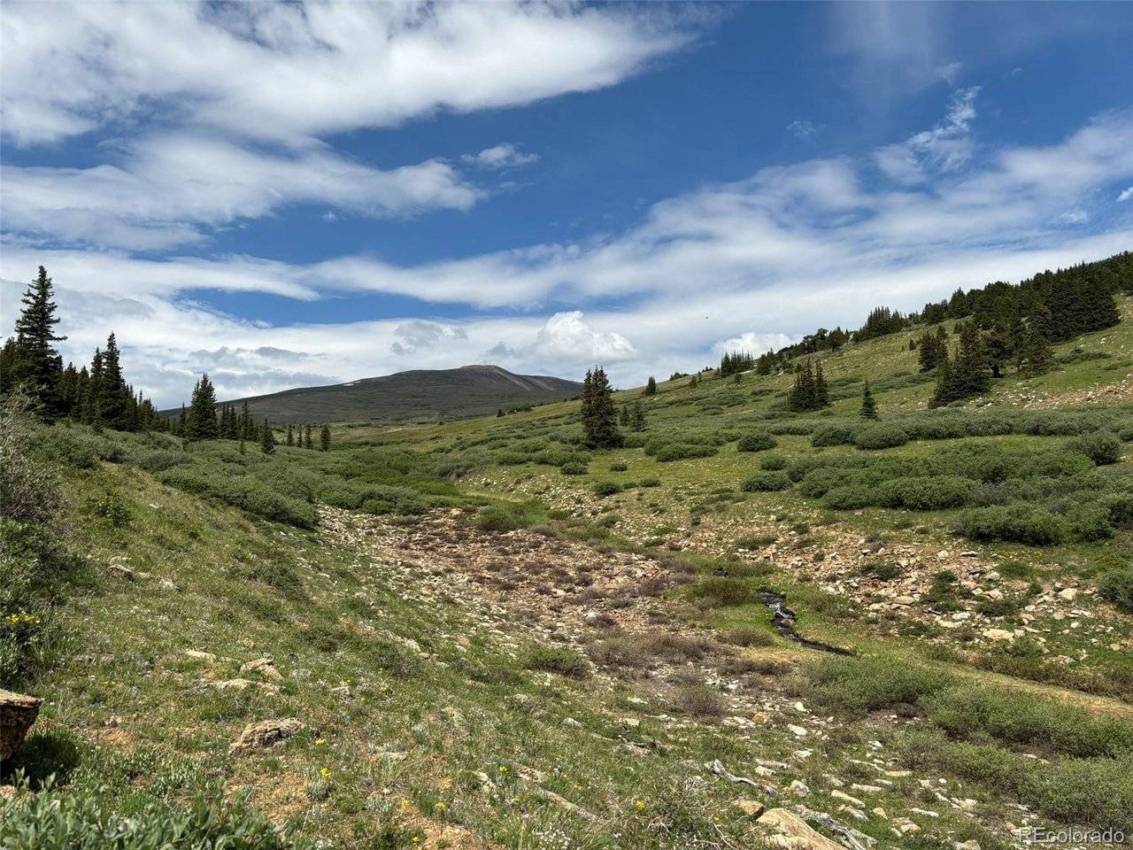 0 Alvin, Silver Cave, Little Ida, Fairplay, CO 80440