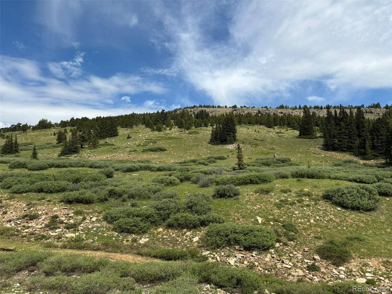 0 Alvin, Silver Cave, Little Ida, Fairplay, CO 80440