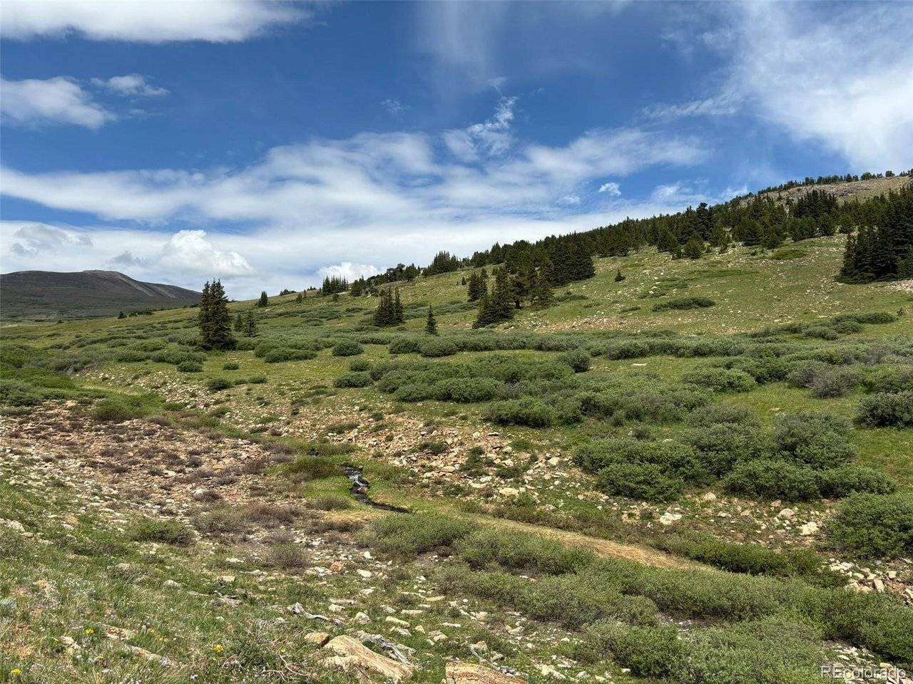 0 Alvin, Silver Cave, Little Ida, Fairplay, CO 80440