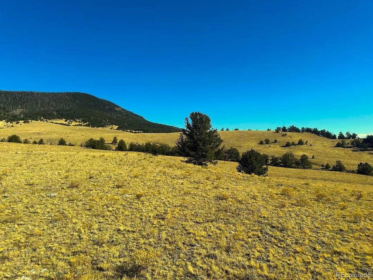 HWY 9, Guffey, CO 80820