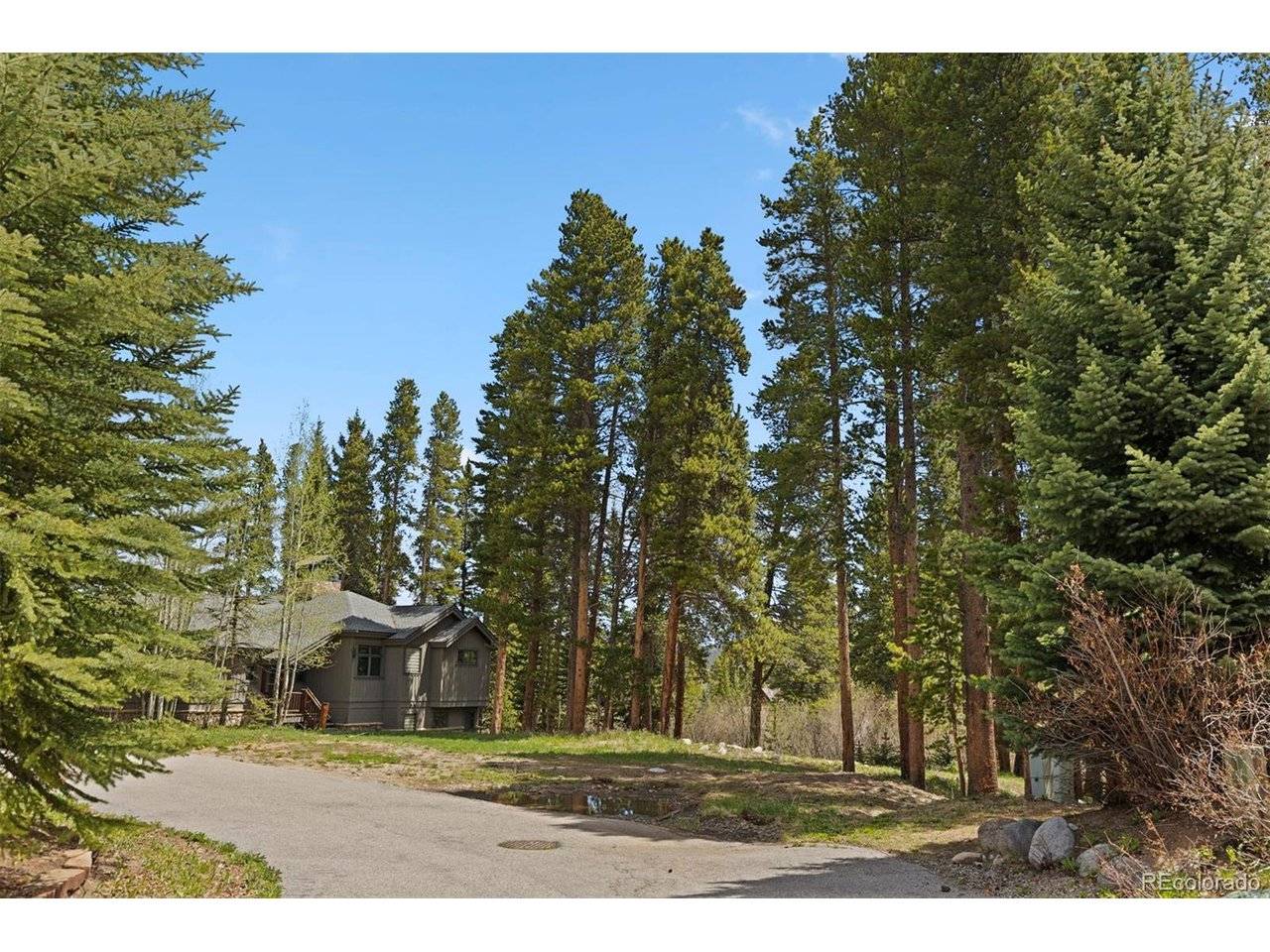 28 Tall Pines, Breckenridge, CO 80424