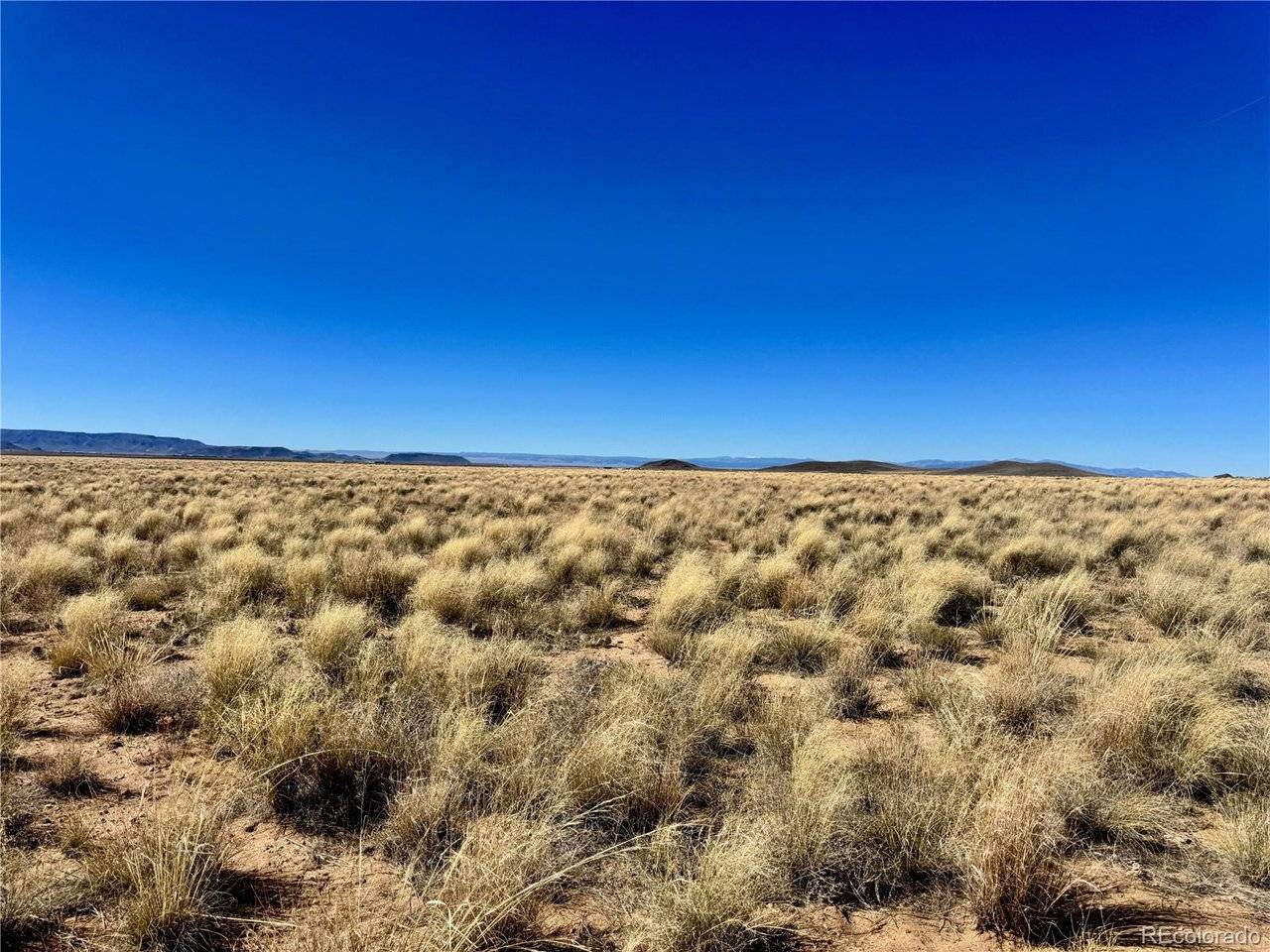 7 Aster, Blanca, CO 81123