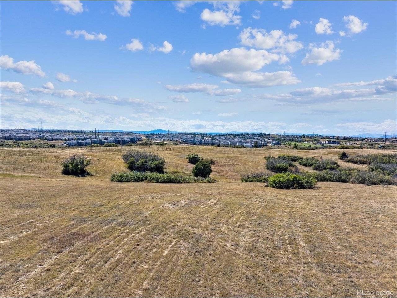 1725 N Rocky View, Castle Rock, CO 80108