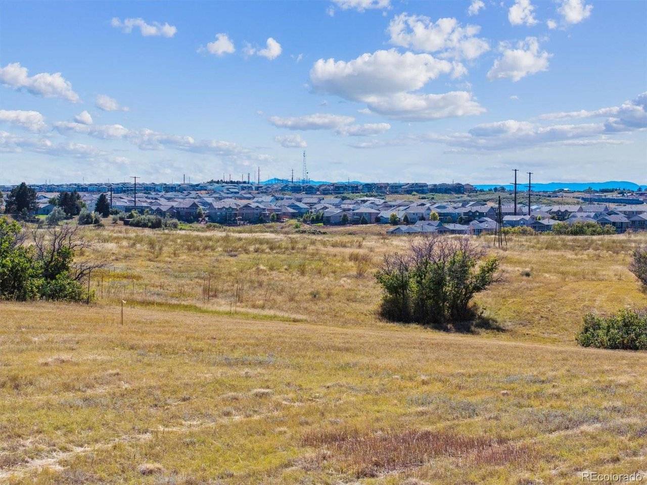 1725 N Rocky View, Castle Rock, CO 80108