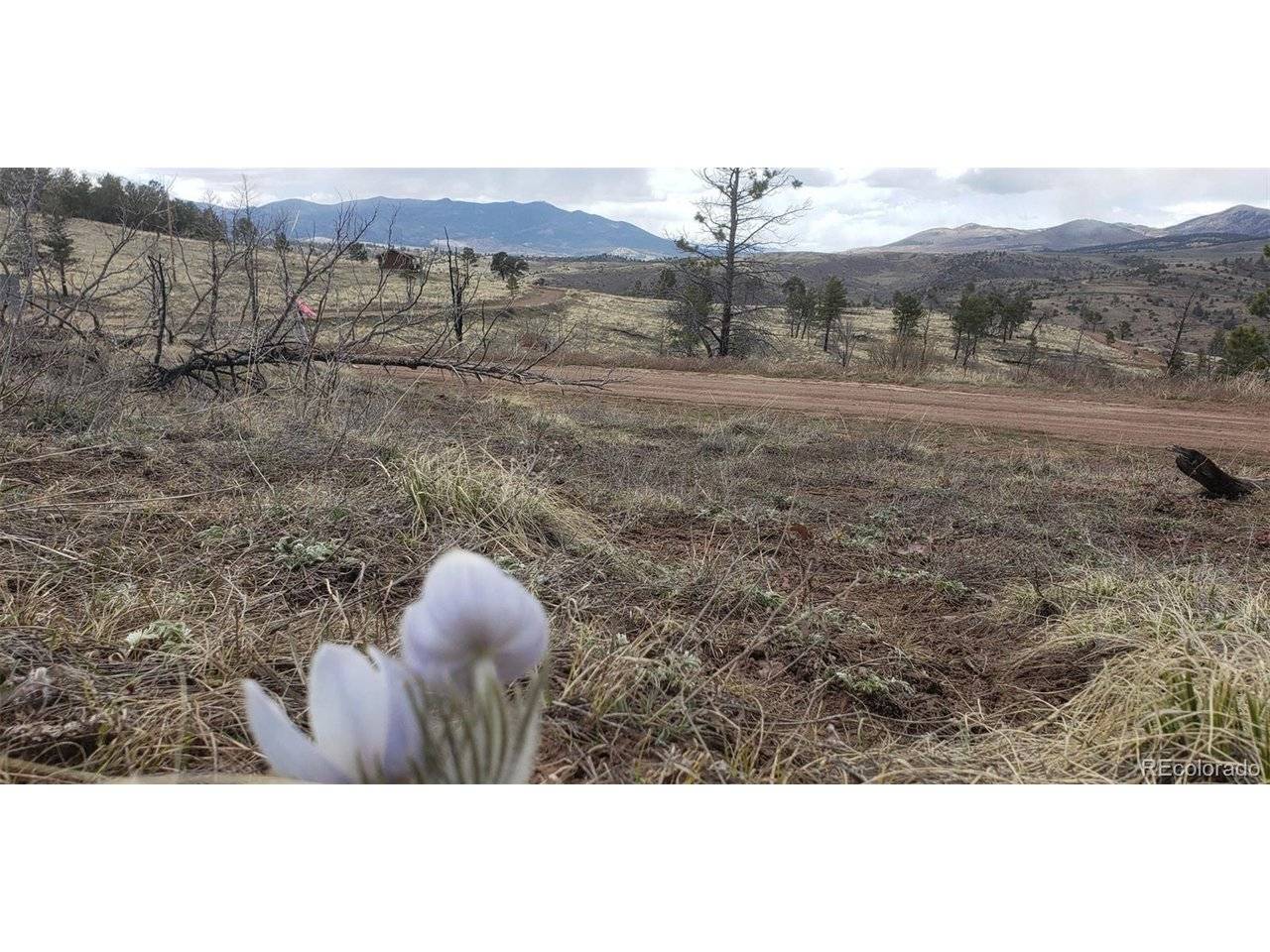 Address not disclosed, Fort Garland, CO 81133