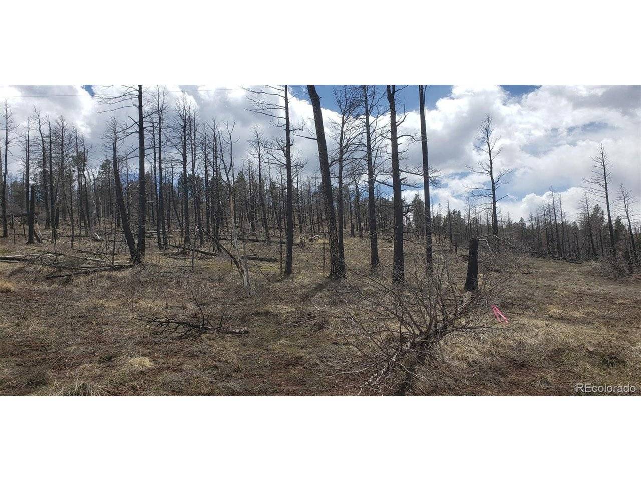 Address not disclosed, Fort Garland, CO 81133