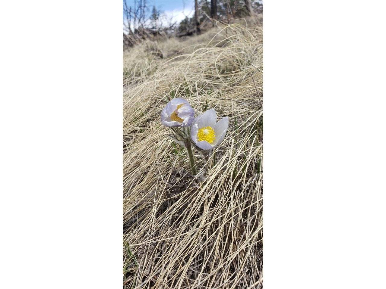 Address not disclosed, Fort Garland, CO 81133