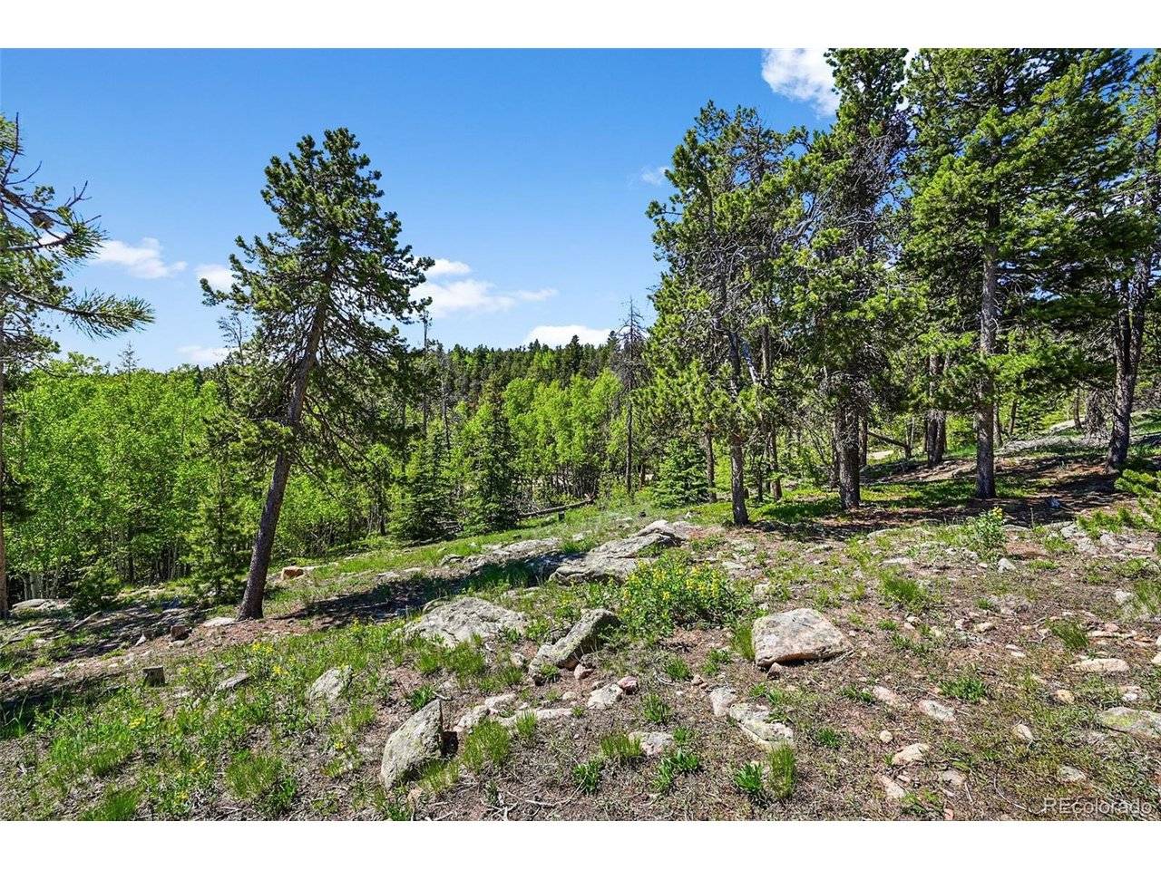 900 Rudi, Golden, CO 80403