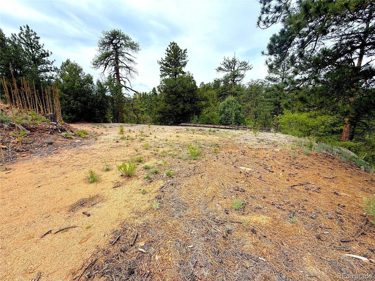 TBD County Road 28, Cotopaxi, CO 81223