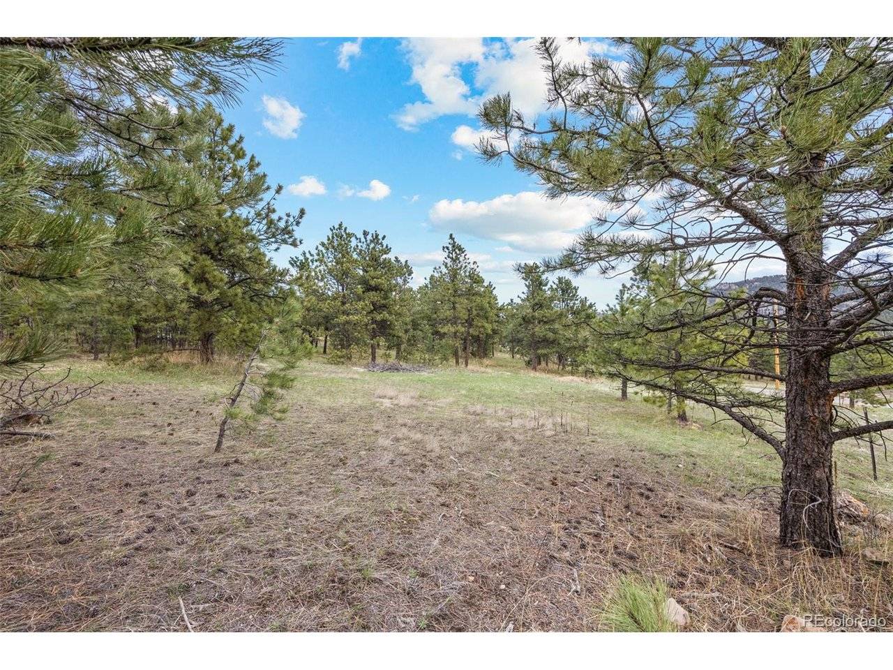 Address not disclosed, Evergreen, CO 80439