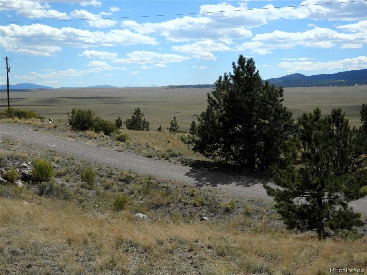 99 Pack Saddle, Hartsel, CO 80449