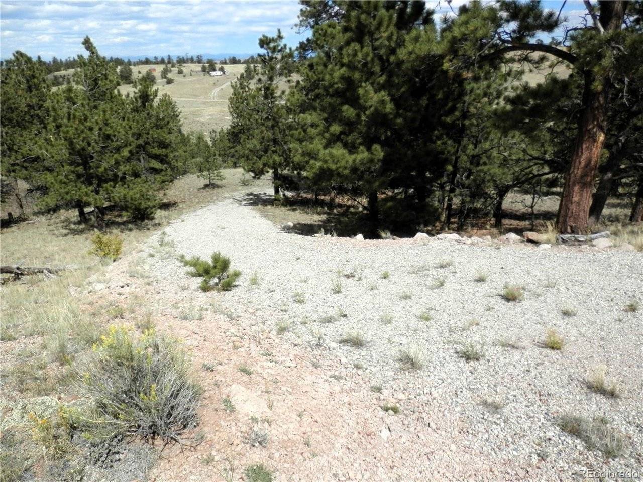 99 Pack Saddle, Hartsel, CO 80449