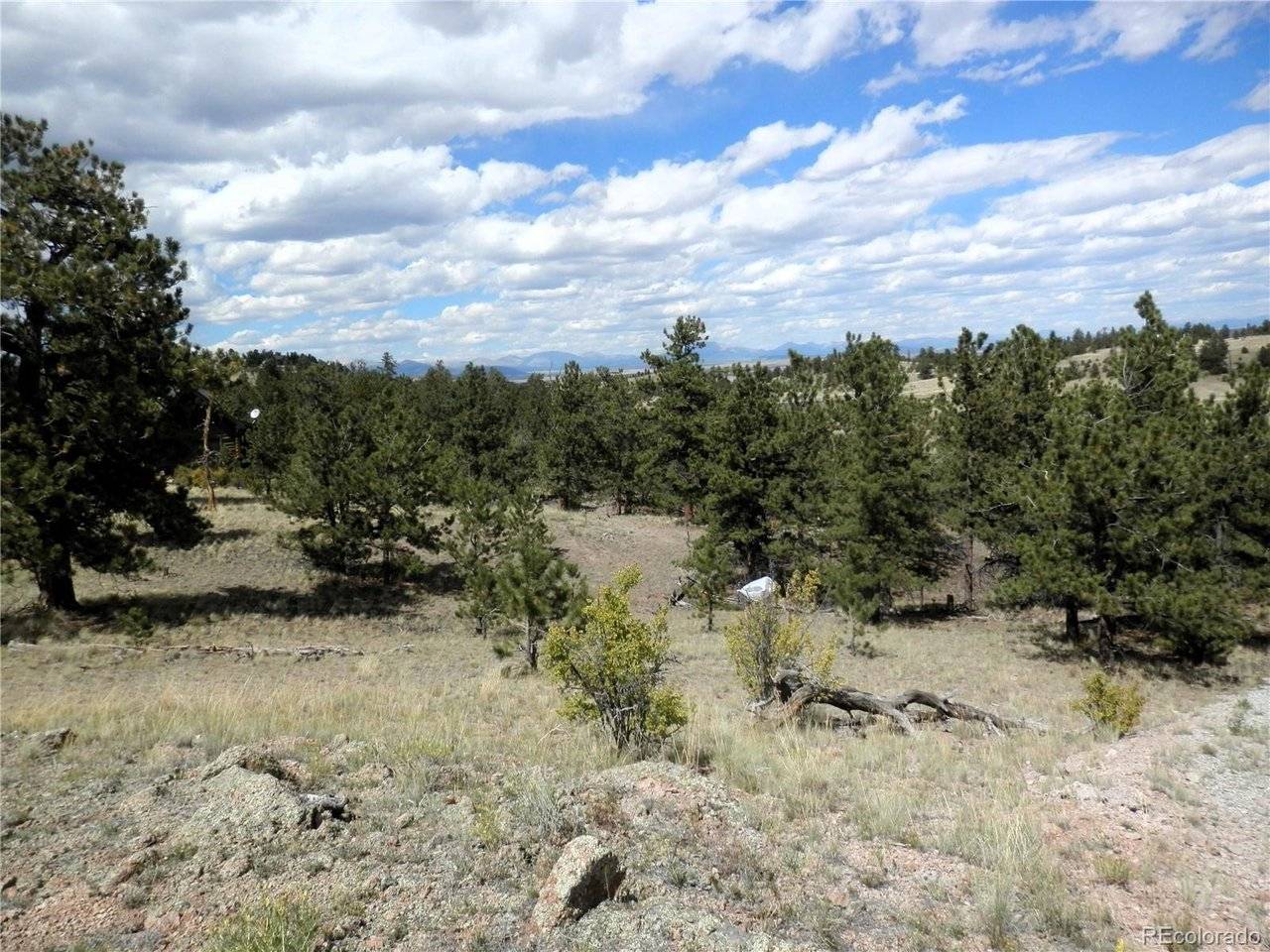 99 Pack Saddle, Hartsel, CO 80449