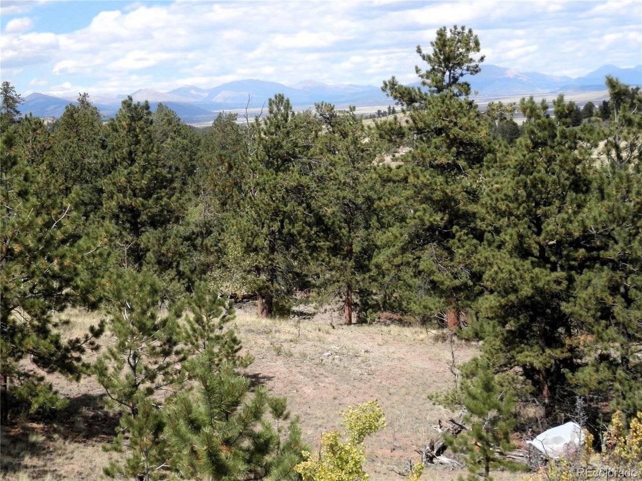 99 Pack Saddle, Hartsel, CO 80449