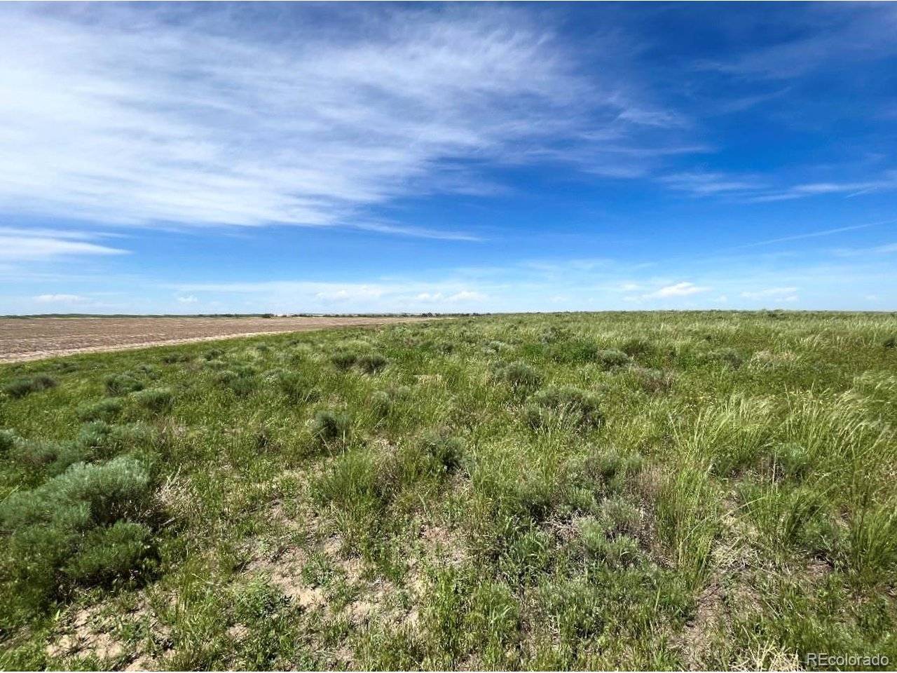 3 Mimosa, Byers, CO 80103