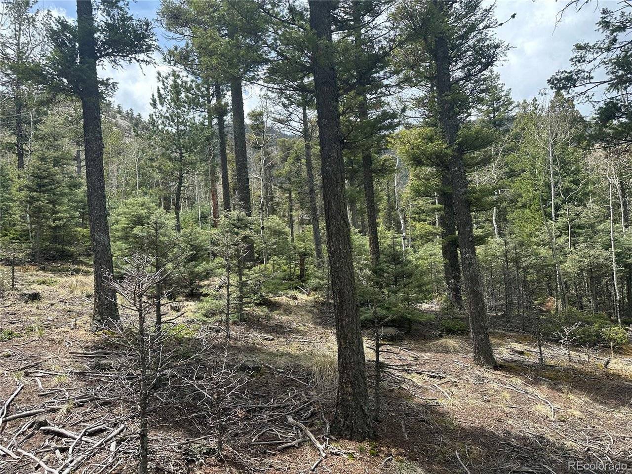 357 Big Horn, Manitou Springs, CO 80829