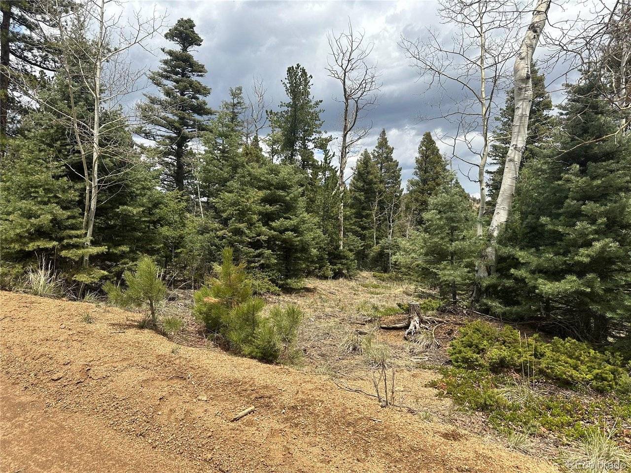 357 Big Horn, Manitou Springs, CO 80829
