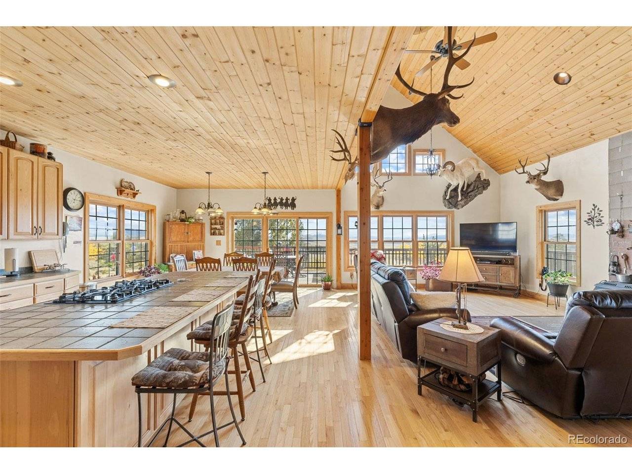 76 No Place, Hartsel, CO 80449