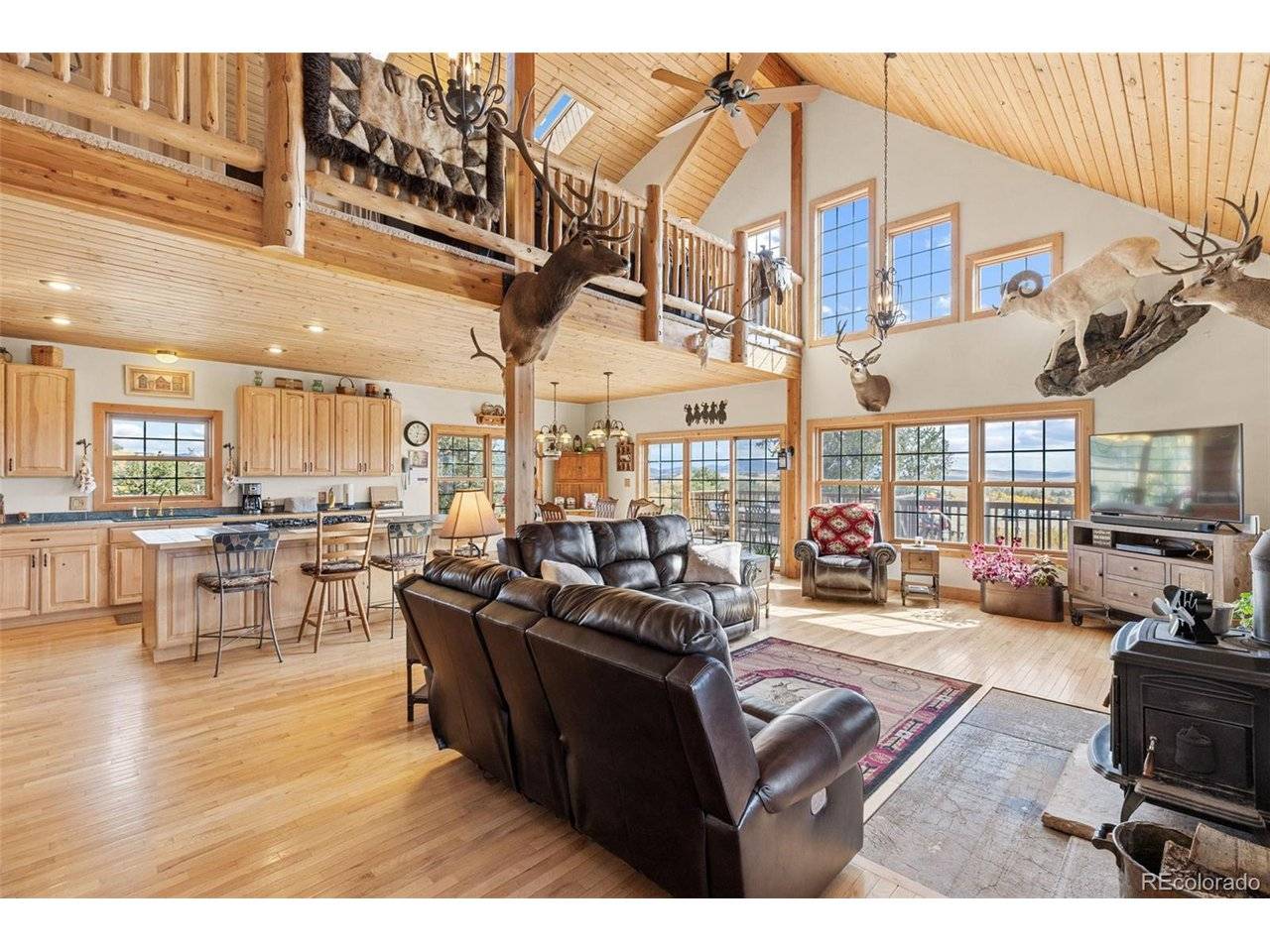 76 No Place, Hartsel, CO 80449