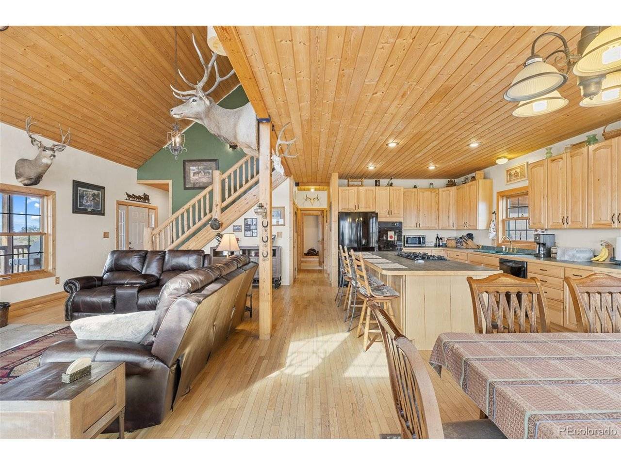 76 No Place, Hartsel, CO 80449