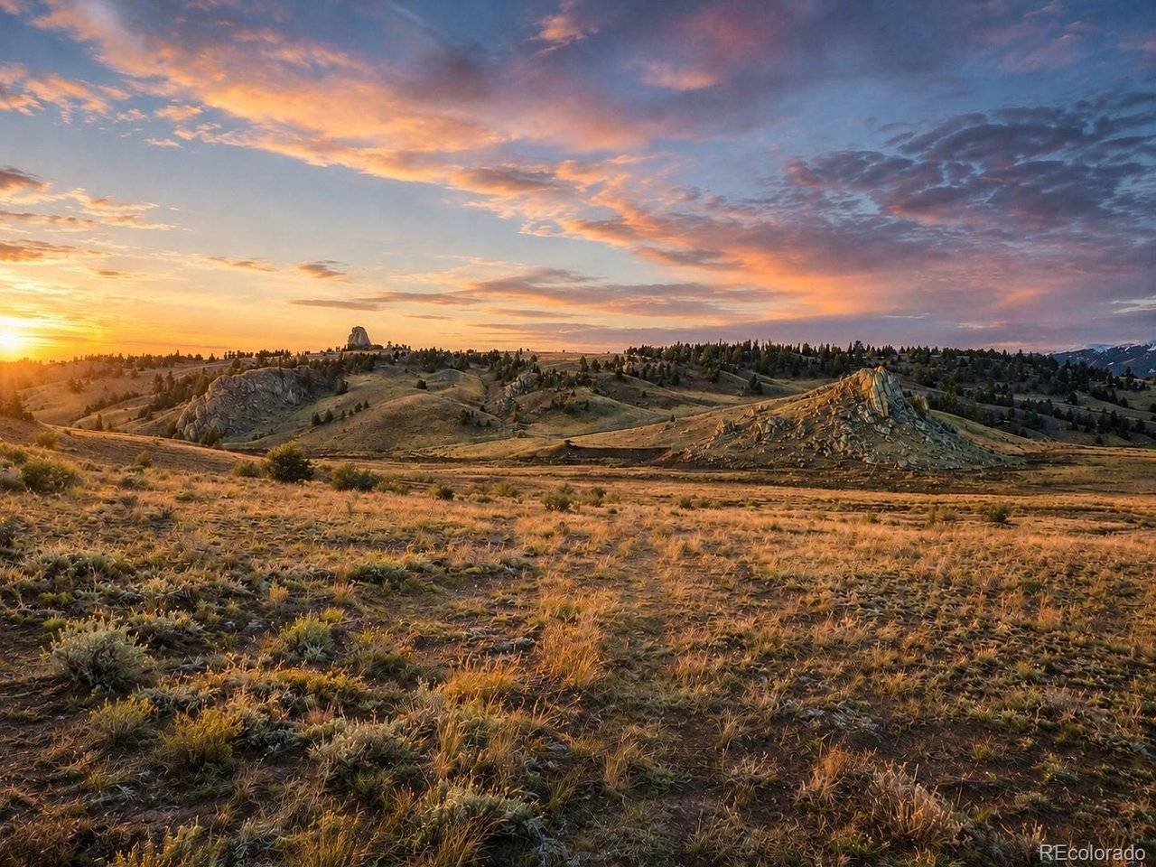 2017 Travois, Jefferson, CO 80456