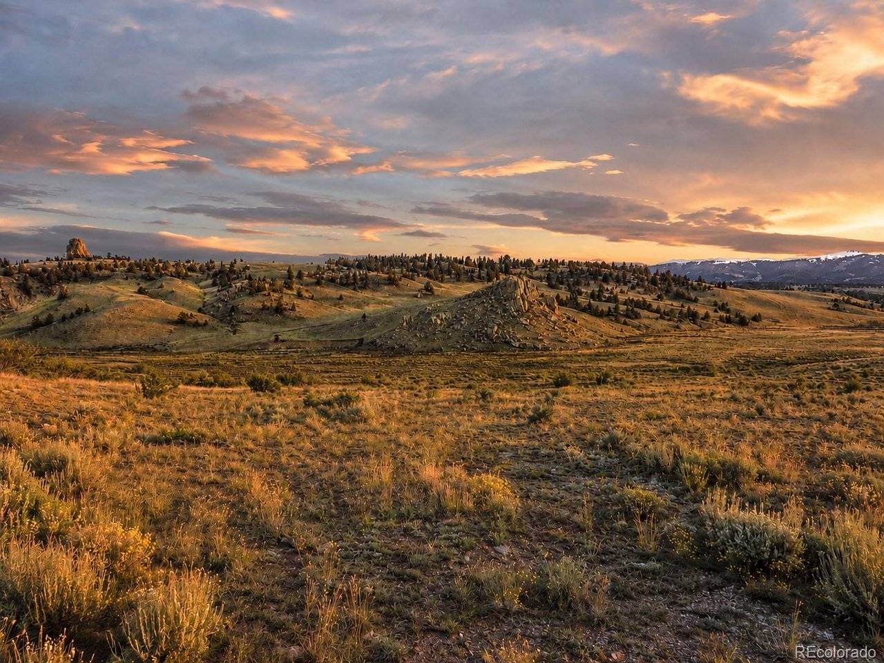 2017 Travois, Jefferson, CO 80456