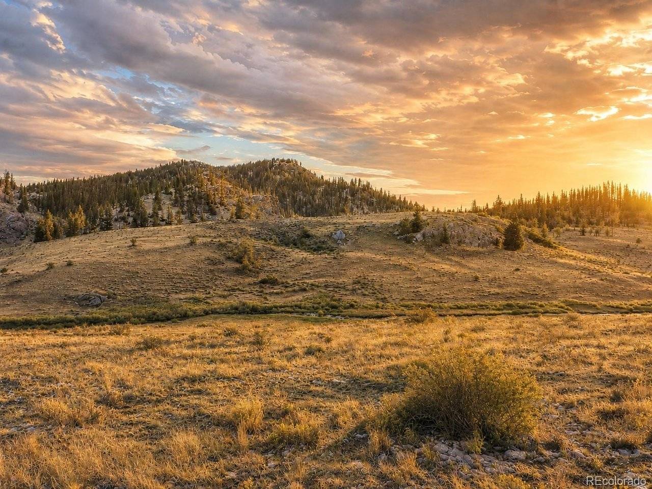 2017 Travois, Jefferson, CO 80456