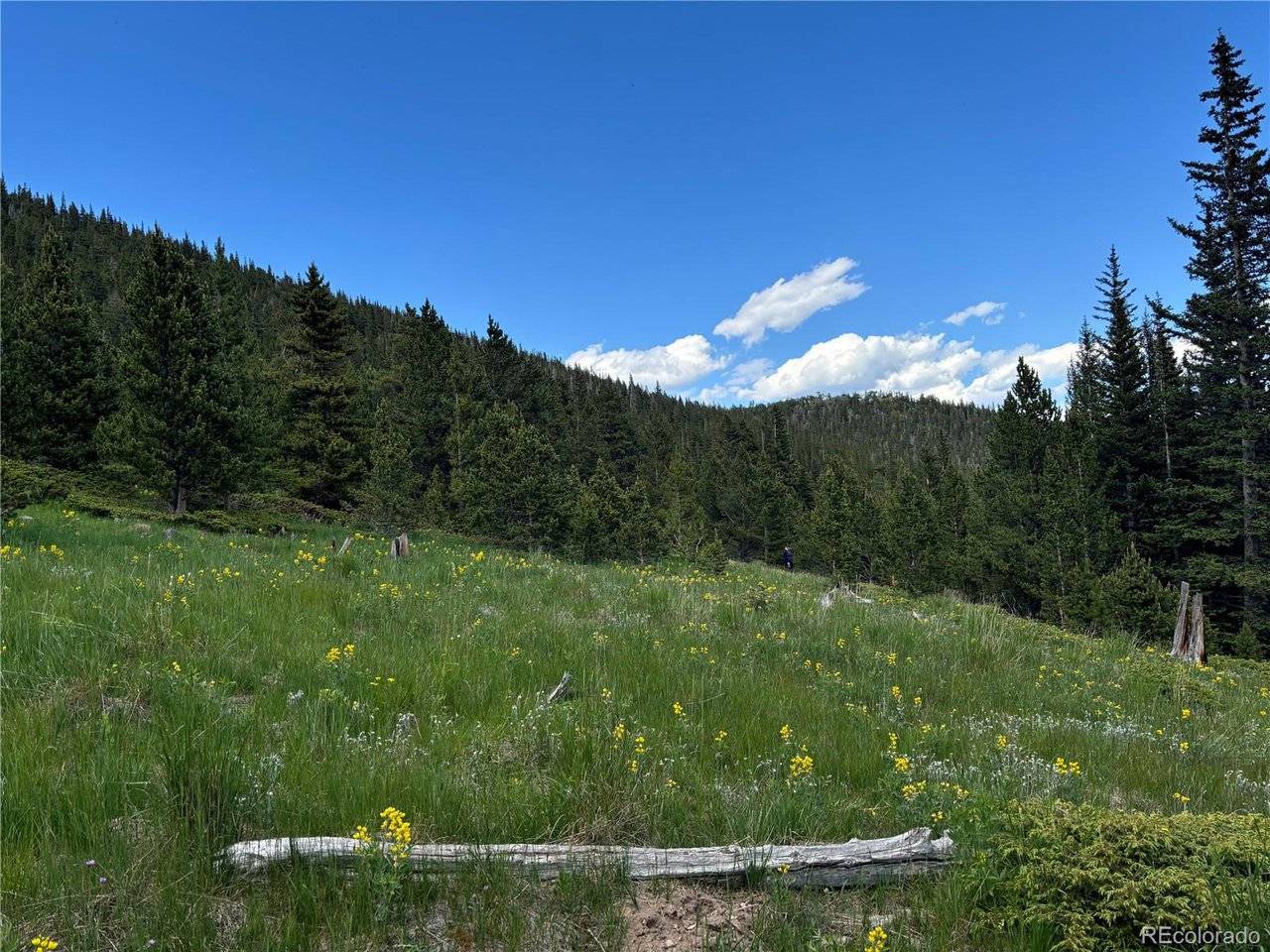 Hilltop, Idaho Springs, CO 80452