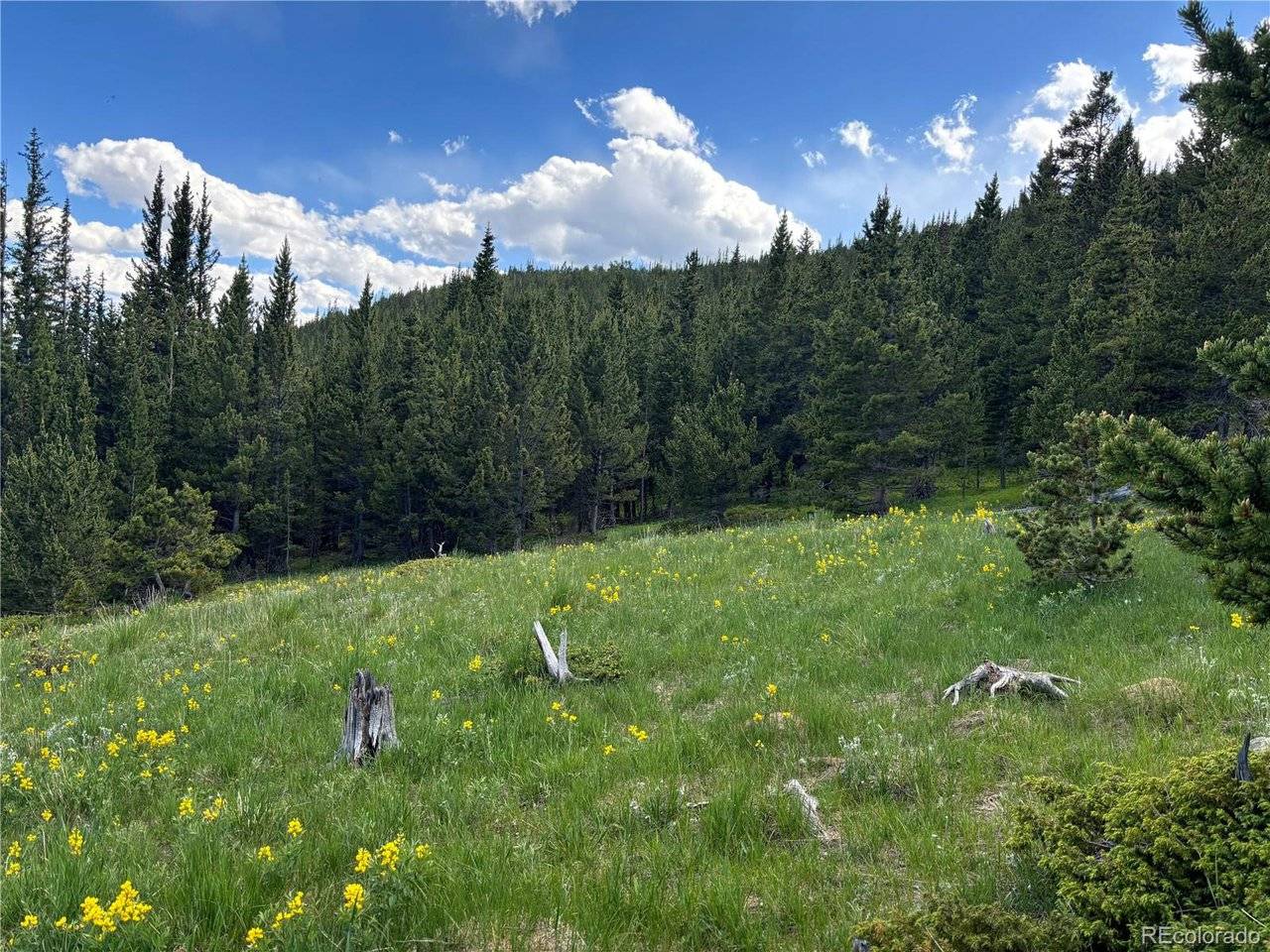 Hilltop, Idaho Springs, CO 80452