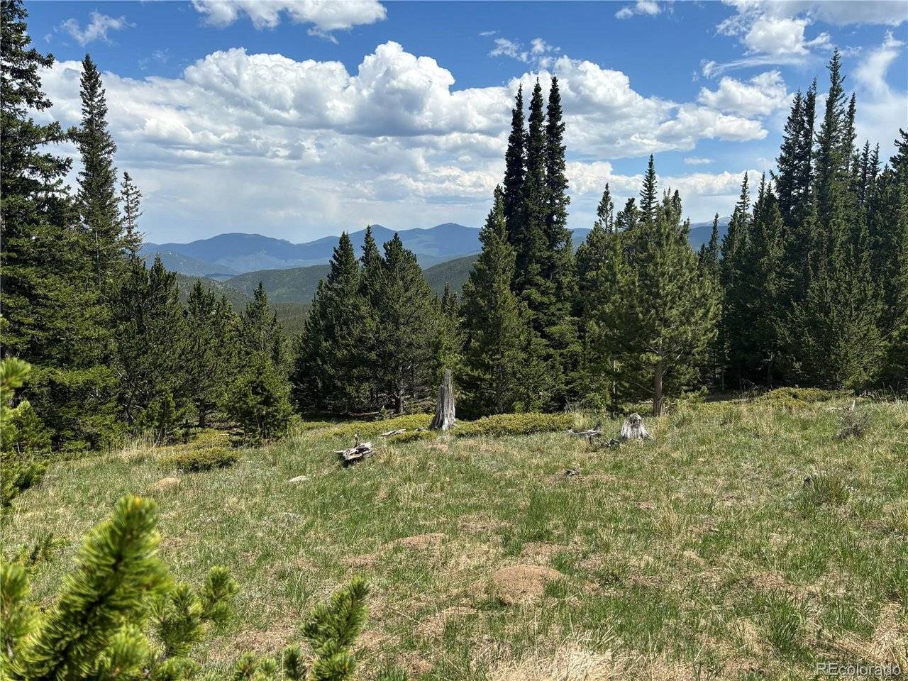 Hilltop, Idaho Springs, CO 80452