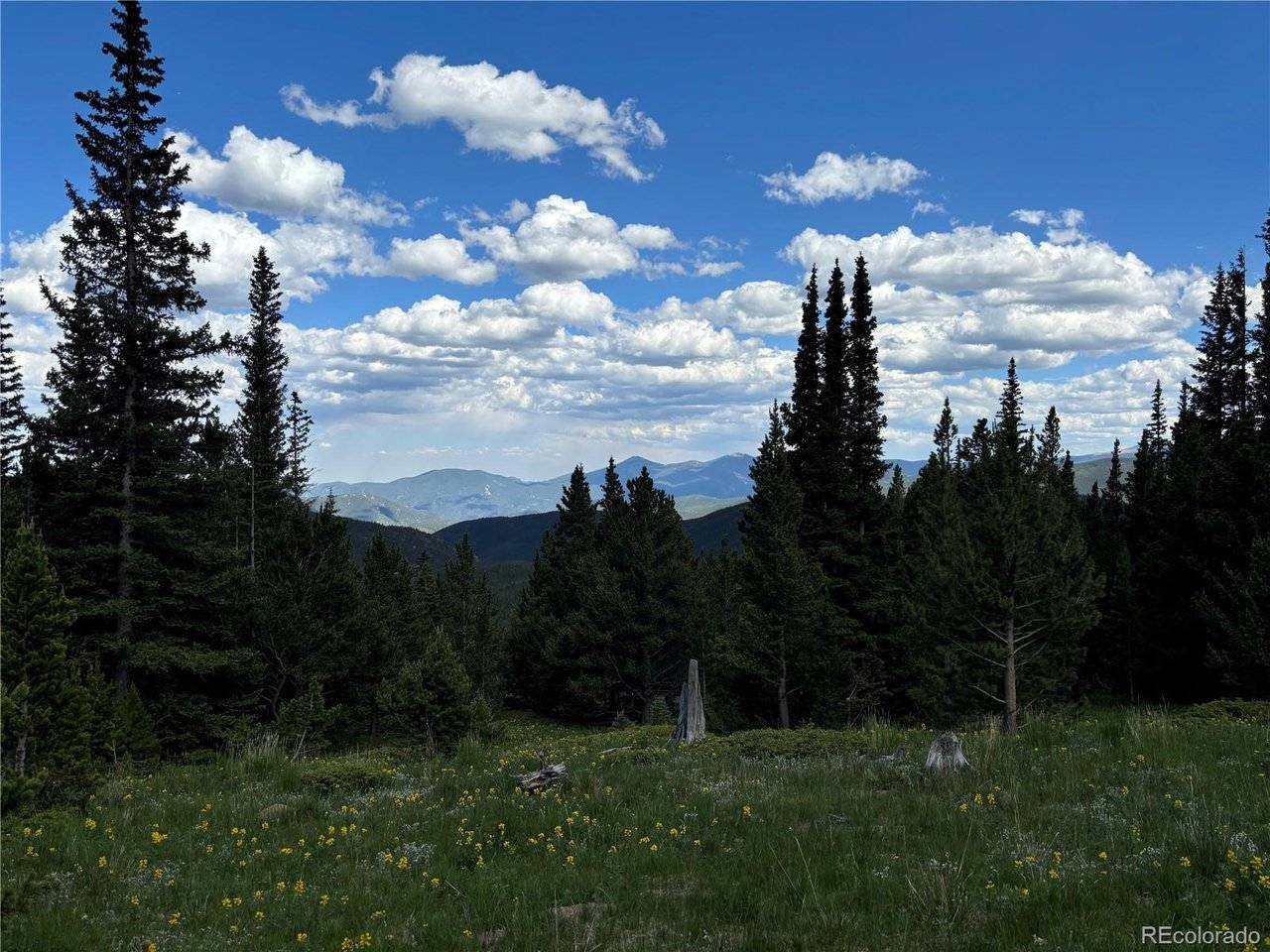Hilltop, Idaho Springs, CO 80452