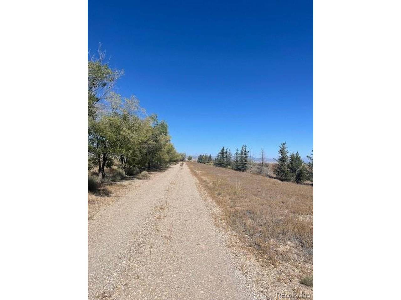 44001 County Road M, Center, CO 81125