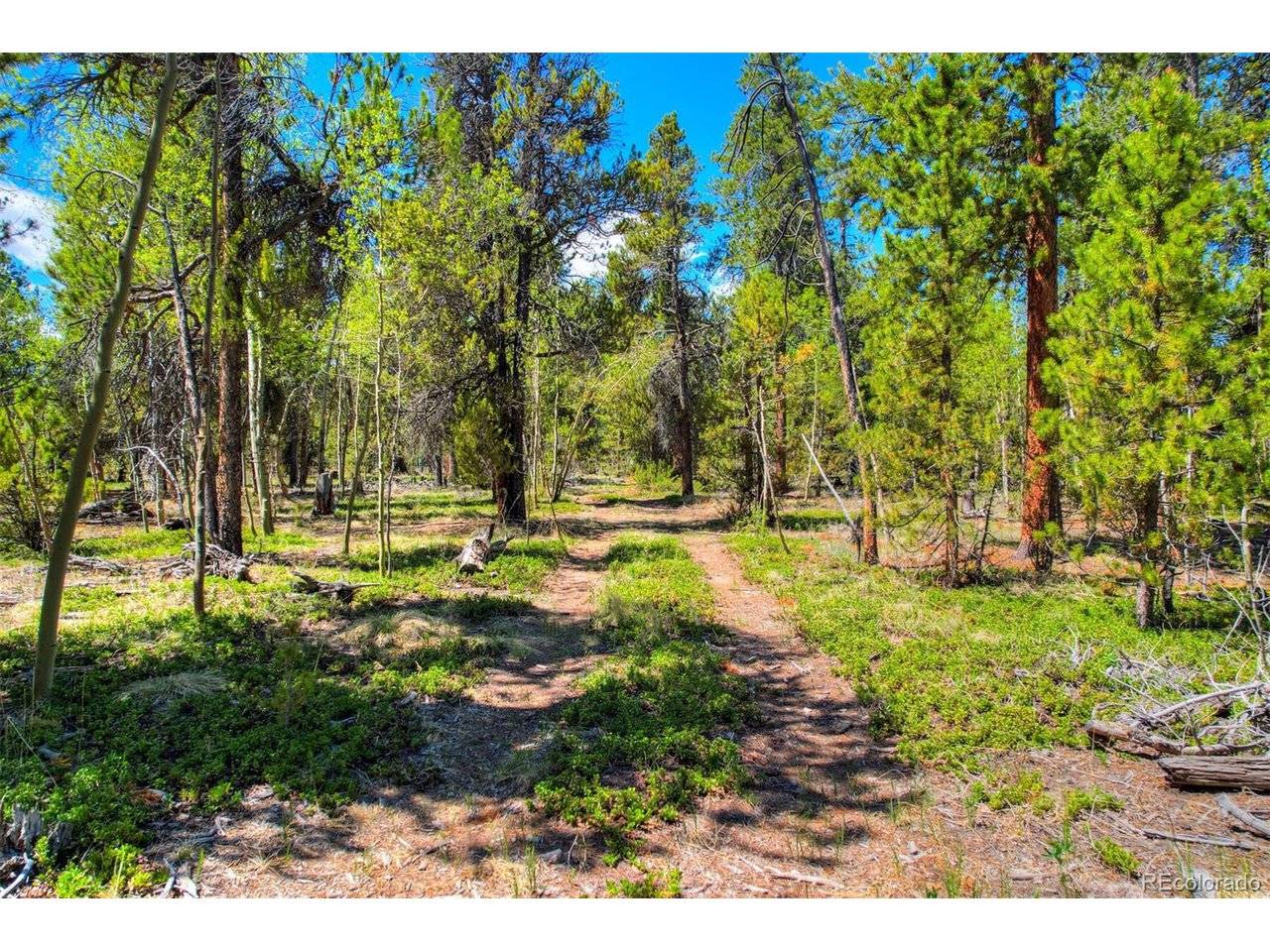 337 Busch Run, Fairplay, CO 80440