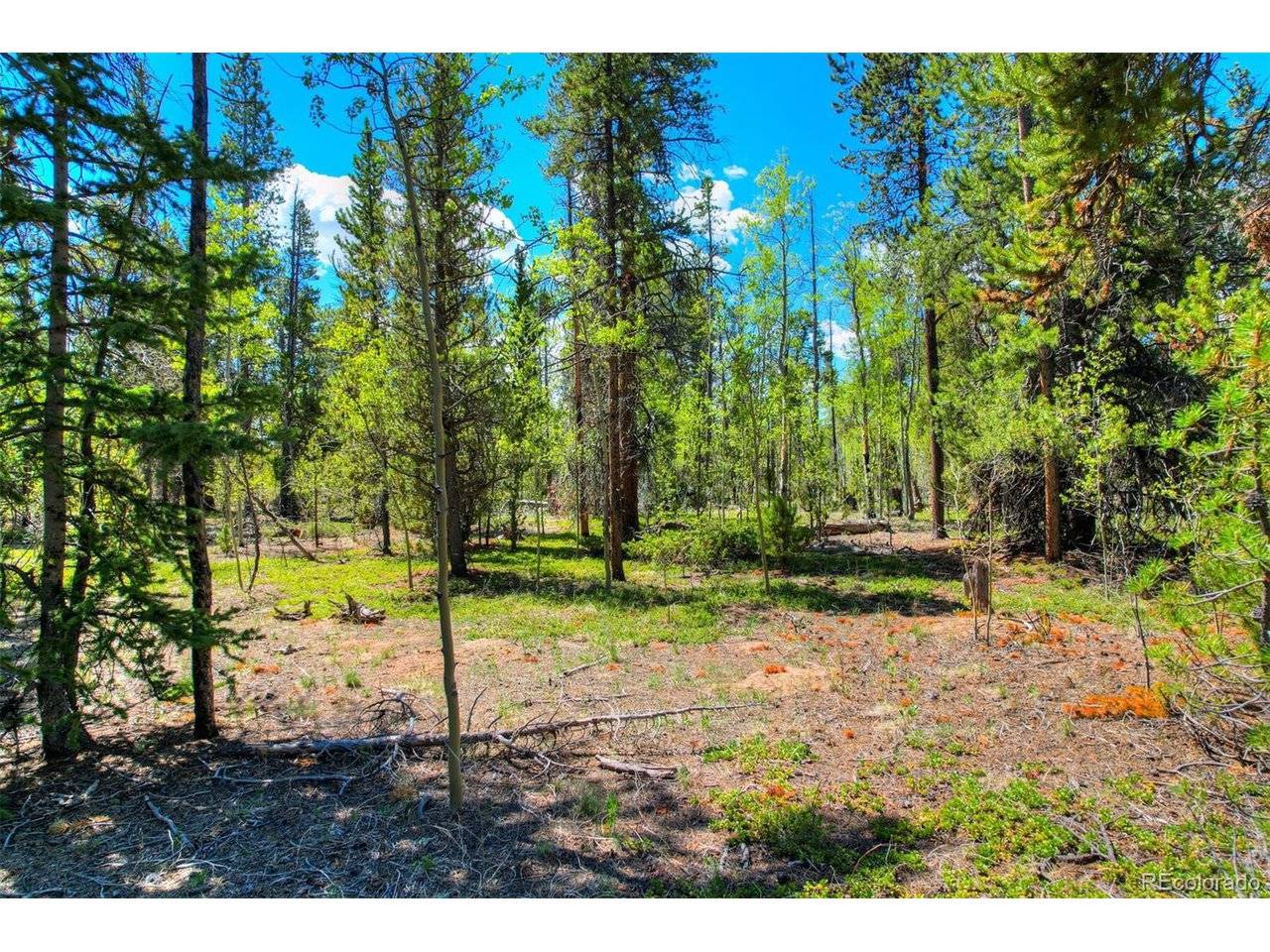 337 Busch Run, Fairplay, CO 80440