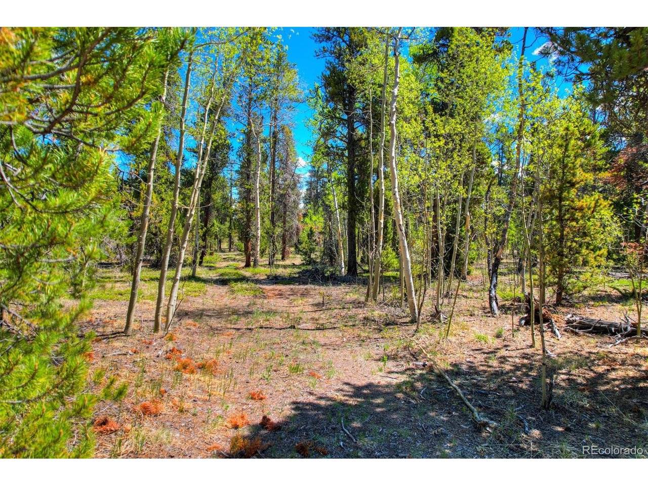 337 Busch Run, Fairplay, CO 80440